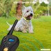 FOCUSPET Remote Dog Training Collar Electric Dog training Shock Collar With Remote 655 yd Rechargeable and Waterproof 16 Levels Tone Vibration & Shock for Small medium & Large Dogs - B071WM148Y