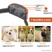 FONPOO No Bark Collar FP-668V 100% Safe Warning Beep & Safe Vibration Bark Collar Rechargeable Training Collar For Small Medium And Large Dogs Beep Vibration and Sensitivity Anti Bark Reflective - B074XY16L6