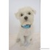 Moosh Anti-Barking Training Collar Dogs Shock Dog Bark Collar with 7 Sensitivity Levels Pink and Blue - B075X4ZXQH