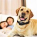 Petcaree Bark Collar with UPGRADED Smart Chip - Intelligent Dog Harmless Shock & Beep Anti-Barking Collar No Bark Control for Small/Medium/Large Dogs Waterproof Dog Barking Collar … - B07DWRRJM8
