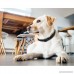 Petiner Harmless Dog No Bark Collar for Anti Barking Control Collars-No Harm Warning Beep Vibration and Shock (Black) - B01FUAH43K