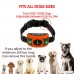 PETOWN [NEW 2018 VERSION FLASHING LIGHTS] Bark Collar with UPGRADED Smart Chip - Best Intelligent Dog Shock Beep Anti-Barking Collar. No Bark Control for Medium/Large Dogs (orange) - B07DMF5B6Y