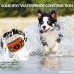 PETOWN [NEW 2018 VERSION FLASHING LIGHTS] Bark Collar with UPGRADED Smart Chip - Best Intelligent Dog Shock Beep Anti-Barking Collar. No Bark Control for Medium/Large Dogs (orange) - B07DMF5B6Y