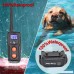 Petrainer PET916 Shock Collar 100% Waterproof Electric Dog Shock Collar with Remote Rechargeable Dog Training Collar with Beep Vibrating (10-100lbs) - B00SMKMU9Y