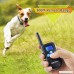 Petrainer PET998DBB2 100% Waterproof and Rechargeable Dog Shock Collar 330 yd Remote Dog Training Collar with Beep/Vibra/Shock Electric E-collar - B00W6ZHZMI