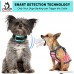 Small Dog Bark Collar | Barking Collars for Small Dogs | Bark Collar Small Dog | Citronella bark collar | Bark Collar | Anti Bark Collar | Anti Bark | Dog Bark Collar | No Bark | Pain Free | 3lb Plus - B07BJGP1TL