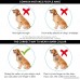 Wanfei Bark Collar Small Dog Dog Barking Control Training Collar Waterproof USB Rechargeable No Shock Collar with 7 Sensitivity Beep Vibration Safe Shock for Small Medium Large Dogs - B0761H3D7S