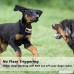 WLWQ Dog Bark Collar Humane Dog Training Collar with Beep Vibration and No Harm Shock 7 Adjustable Sensitivity Control Dog Anti Bark Collar for Small Medium Large Dogs - B075ZMVV9C