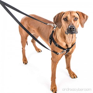 2 Hounds Design Freedom No-Pull Dog Harness: Velvet Padding Multi-function & USA Made! Lots of Sizes & Colors (Leash Not Included) - B00A3XS95M