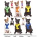 ADOPT ME Yellow Color Coded L-XL Non-pull Dog Harness (New Home Needed) Donate To Your Local Charity - B00BZTZJ3I