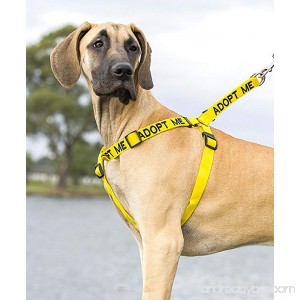 ADOPT ME Yellow Color Coded L-XL Non-pull Dog Harness (New Home Needed) Donate To Your Local Charity - B00BZTZJ3I