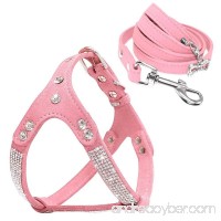 Beirui Soft Suede Rhinestone Leather Dog Harness Leash Set Cat Puppy Sparkly Crystal Vest & 4 ft lead for Small Medium Cats Pets Chihuahua Poodle Shih Tzu - B0779RQ4TB