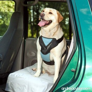Bergan Dog Auto Harness with Tether - B003FIWZAW