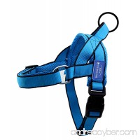 BIG SMILE PAW Dog Harness Adjustable  Dog Harness Padded Neck and Back Strap Easy on and off - B06Y4XDRCV