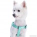 Blueberry Pet Classic Solid Color Adjustable Dog Harness 19 Colors Matching Collar & Leash Available Separately - B06XFTGH19