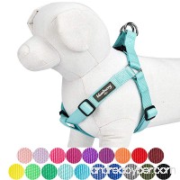 Blueberry Pet Classic Solid Color Adjustable Dog Harness  19 Colors  Matching Collar & Leash Available Separately - B06XFTGH19