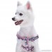 Blueberry Pet Soft & Comfortable Loving Floral Prints Adjustable Neoprene Padded Dog Harness 2 Patterns Matching Collar & Leash Available Separately - B01LY9NB97