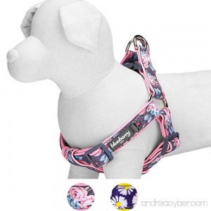 Blueberry Pet Soft & Comfortable Loving Floral Prints Adjustable Neoprene Padded Dog Harness 2 Patterns Matching Collar & Leash Available Separately - B01LY9NB97