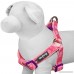 Blueberry Pet Soft & Comfortable Paisley Flower Print Neoprene Padded Dog Harness 5 Colors Matching Collar & Leash Available Separately - B01EFMRQTG