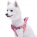 Blueberry Pet Soft & Comfortable Paisley Flower Print Neoprene Padded Dog Harness 5 Colors Matching Collar & Leash Available Separately - B01EFMRQTG