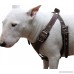 Brown Genuine Leather Dog Harness Medium. 25-30 Chest 1 Wide Adjustable Straps - B00761CT64