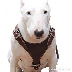 Brown Genuine Leather Dog Harness Medium. 25-30 Chest 1 Wide Adjustable Straps - B00761CT64