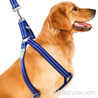 CoolPets Dog Harness Leash Set  Heavy Duty Metal Buckles Halter Leash for Large  Medium Breed Dogs  Adjustable  Back Clip  Anti-Twist  No Pulling  Easy for Walking - B076CMQNH8