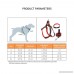Dog Leash Harness Adjustable Durable Heavy Duty Denim Dog Leash Collar for Daily Training Walking Running Suitable for Small Medium Large Dogs - B07769PBM1
