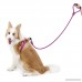 Dog Leash Harness Set Pawaboo Durable Adjustable Step-in No Pulling Dog Leash Collar Perfect for Pet Dog Daily Training Walking Running - B078HR7Z1Y
