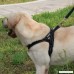 DogFad No-Pull dog harness - B078GLKZF1
