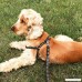FluffyPal No Pull Harness For Dogs Take Control & Walk Happier! Comfort Dog Harness For Less Restriction & More Freedom! No Chocking Wiggling Or Slipping Out Secure Tight Fitting Adjustable Harness - B01NCSPUHI