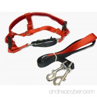 Freedom No Pull Velvet Lined Dog Harness and Leash Training Package Red Large - B00B0NRADG