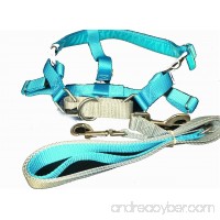 Freedom No Pull Velvet Lined Dog Harness and Leash Training Package Turquoise XL - B00B0NR9YG