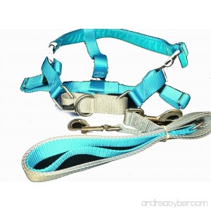 Freedom No Pull Velvet Lined Dog Harness and Leash Training Package Turquoise XL - B00B0NR9YG