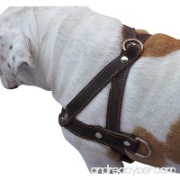 Genuine Brown Leather Dog Pulling Walking Harness Medium to Large. 25.5-31 Chest 1.5 Straps - B007U85J1K