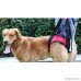 Lalawow Dogs Lift Harness Dogs Lift Support Rehabilitation Harness Helping Support for Elderly or Arthritis Dogs - B06WVL8PH5