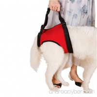 Lalawow Dogs Lift Harness Dogs Lift Support Rehabilitation Harness Helping Support for Elderly or Arthritis Dogs - B06WVL8PH5