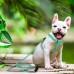 PAWABOO Dog Leash Harness Set Durable Adjustable Heavy Duty No Pulling Dog Harness + Leash for Small and Medium-Sized Pet Dog Training Walking Running. - B074QL2JNM