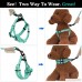 PAWABOO Dog Leash Harness Set Durable Adjustable Heavy Duty No Pulling Dog Harness + Leash for Small and Medium-Sized Pet Dog Training Walking Running. - B074QL2JNM