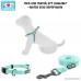 Pawtitas Pet Adjustable Solid Color Step In Puppy/Dog Harness 6 feet Matching Collar and Harness sold separately - B073TLYFX4