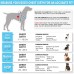 Pawtitas Pet Soft Adjustable Step-In Reflective Puppy / Dog Harness - B00OBX3EKK