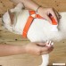 Pet Passion International LLC. PPARK BUTTERFLY STEP-IN HARNESS WITH DUAL QUICK RELEASE - B01M8K7YEV