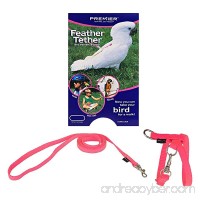Premier Feather Tether Bird Harness and Leash - B00OZBZGRM
