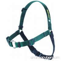 SENSE-ation No-Pull Dog Harness (Green  Medium) by Sense-Ation Harness - B008PDCATS