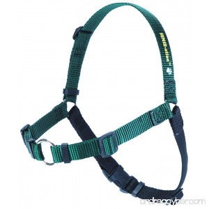 SENSE-ation No-Pull Dog Harness (Green Medium) by Sense-Ation Harness - B008PDCATS