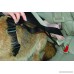 The Company of Animals Clix Car Safe Dog Harness Size - B005D0YU3K