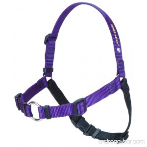 The Original SENSE-ation No-Pull Dog Training Harness - B00HR6CHF6