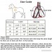 Vinca Mascot Dog Harness Leash Set Adjustable & Durable Pet Leash No Pull Heavy Duty Denim Dog Leashes And Harnesses for Small Medium and Large Dog Perfect for Daily Training Walking Running - B07BH2TXW9