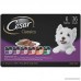 CESAR Classics Adult Wet Dog Food Variety Pack Trays 3.5 Ounces (Pack of 36) - B071J1BFTX
