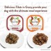 Nutro ULTRA Grain Free Filets in Gravy Wet Dog Food - B07CKTQLBR